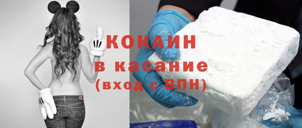 спайс Губаха