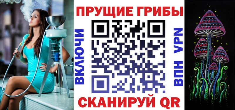 Псилоцибиновые грибы GOLDEN TEACHER Кирс